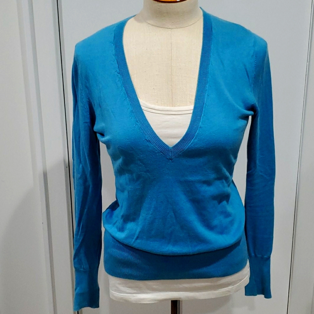 Banana Republic Lightweight V Neck Blue Sweater XS